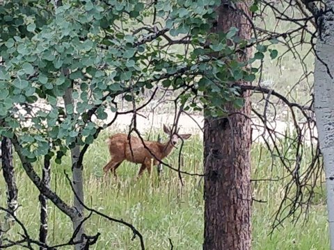 安克雷奇农场民宿-浴室