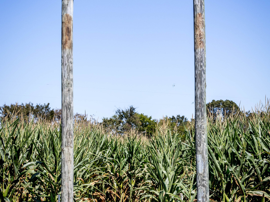 YesterLand Farm-Canton必去景点