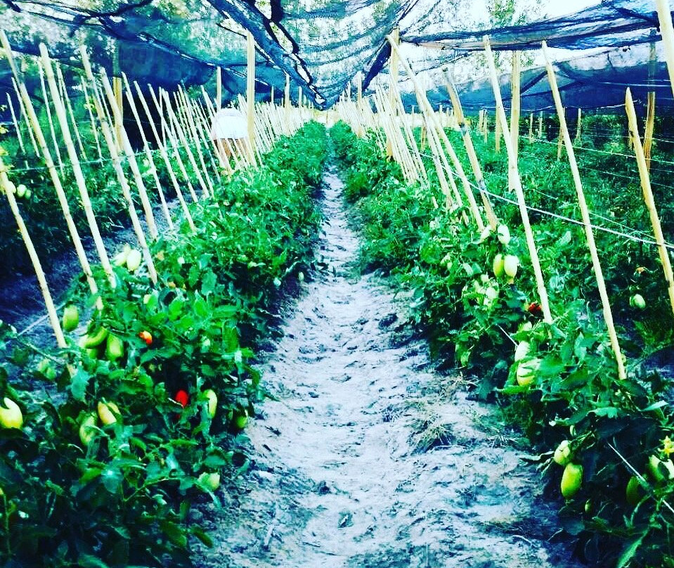 Finca Paru-圣拉斐尔必去景点