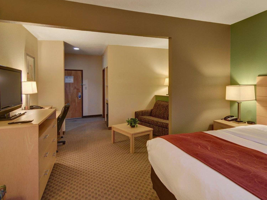 Comfort Suites Lindale - Tyler North主图