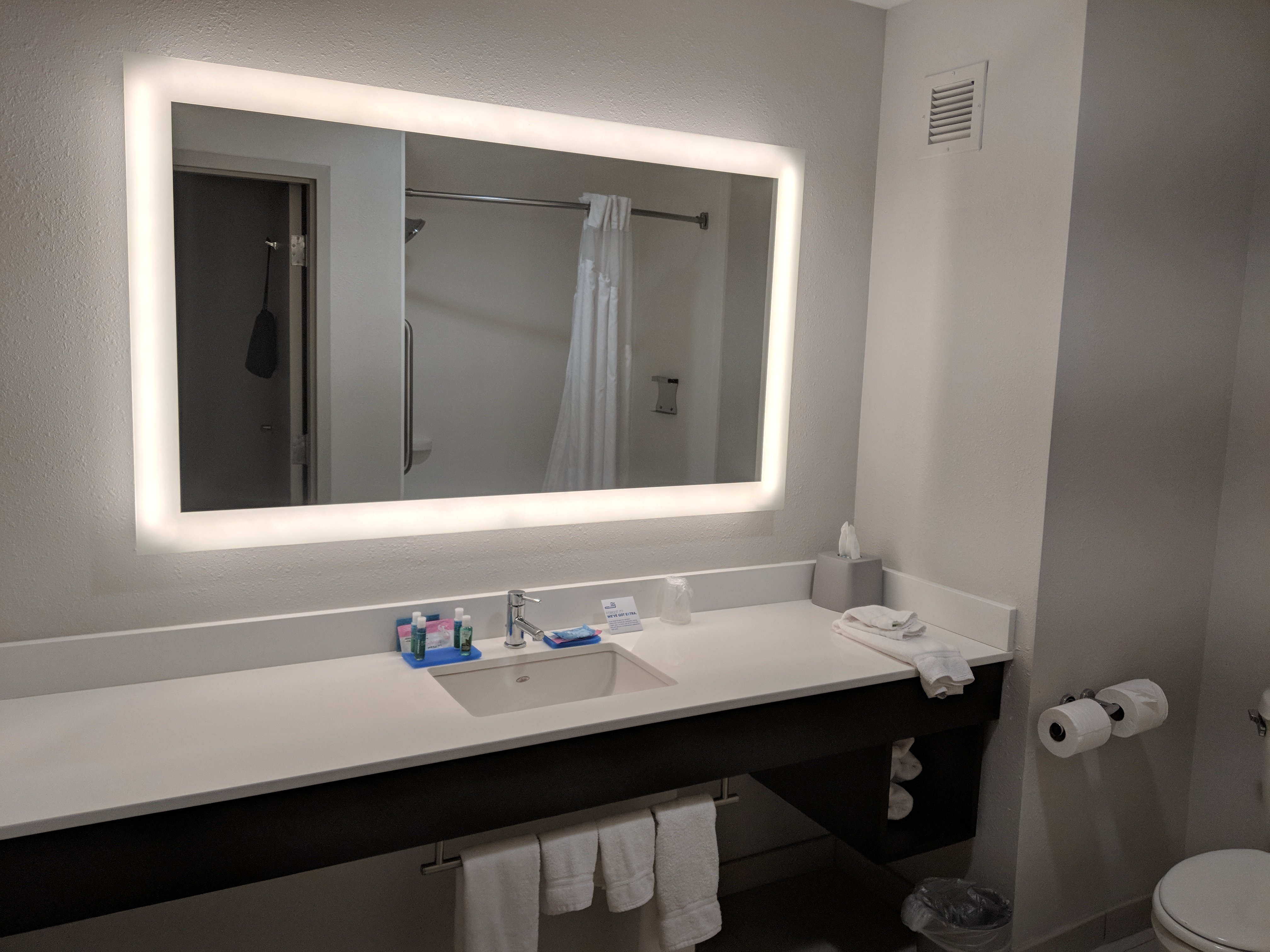 Holiday Inn Express & Suites Conover (hickory Area) By IHG-浴室