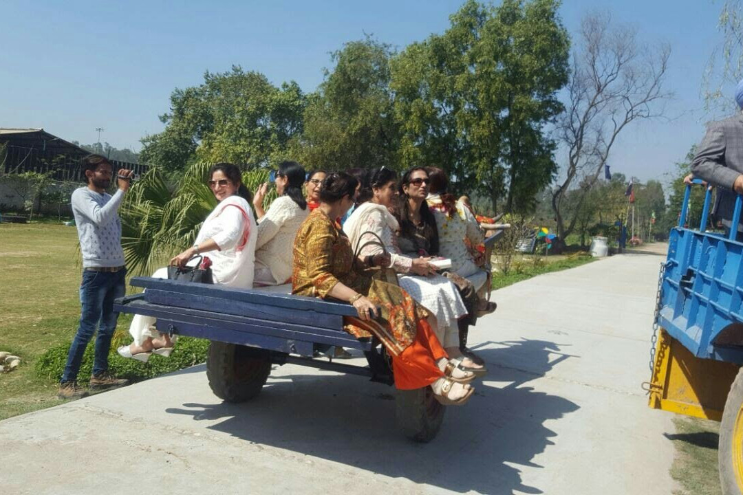 The Tree House Farm-Gholu Majra必去景点