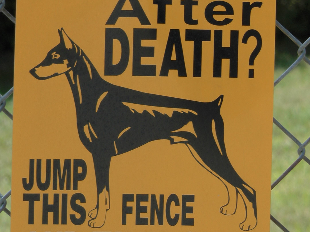 Funtown Splashtown USA-萨考必去景点