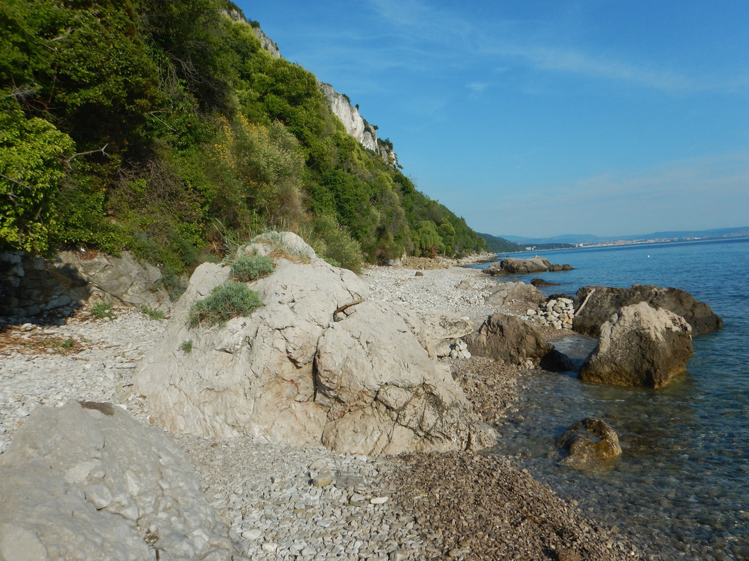 Spiaggia Naturista Liburnia景点图片