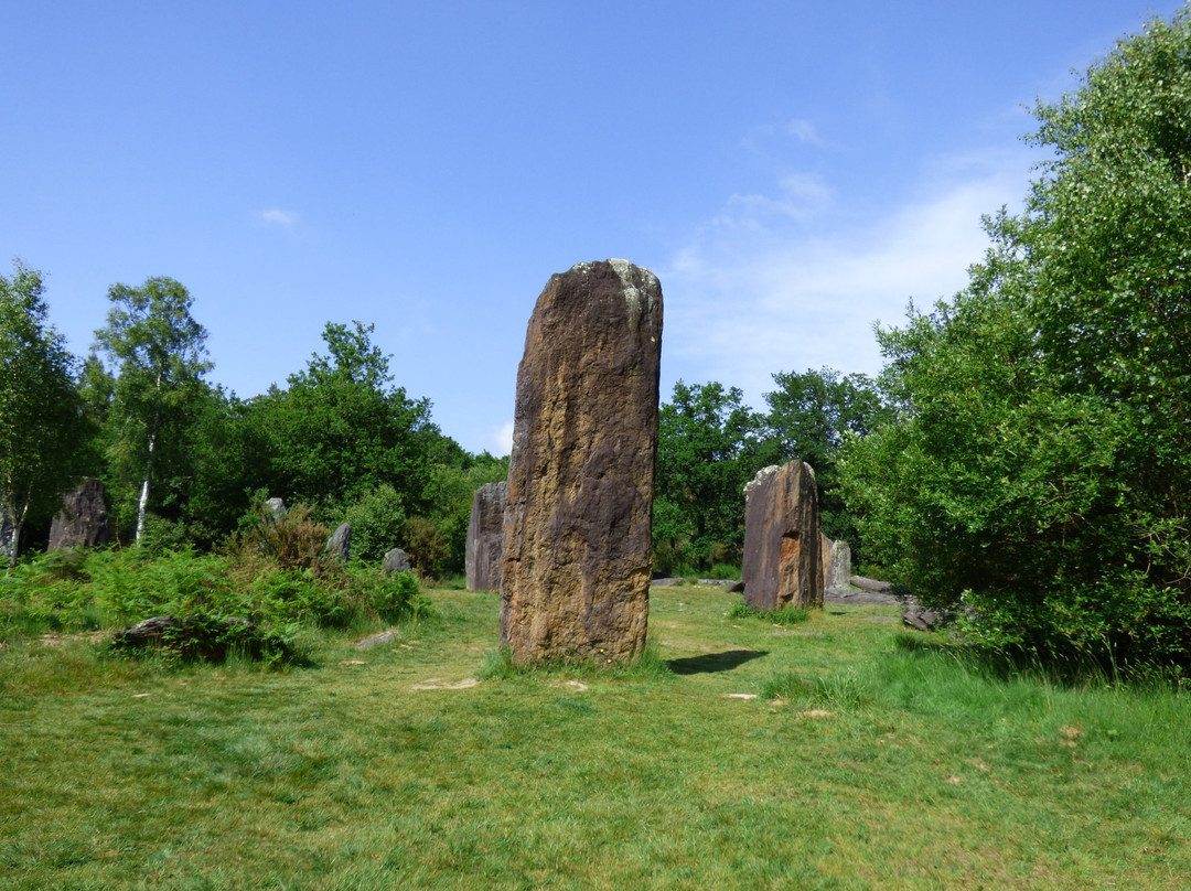 Menhirs de Monteneuf景点图片