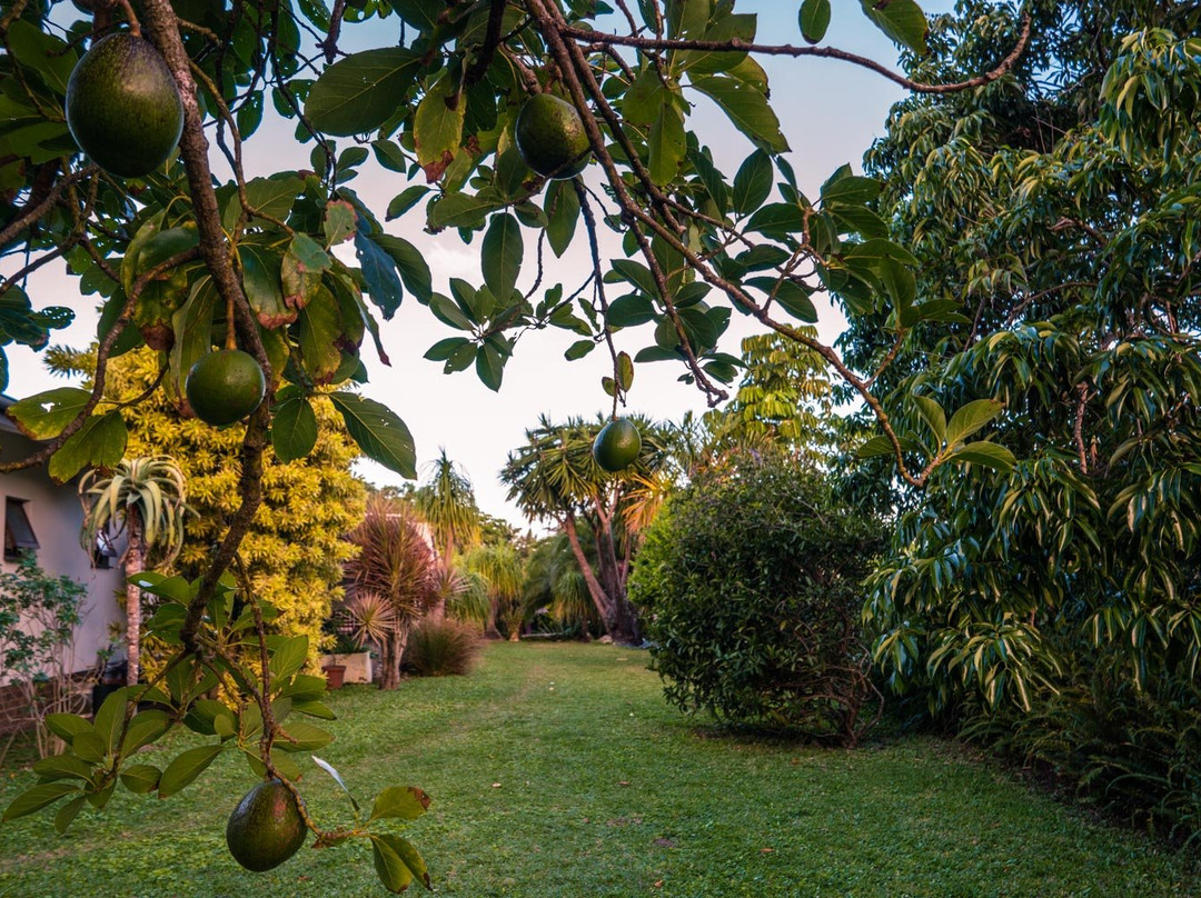 Bushbuck Lodge主图