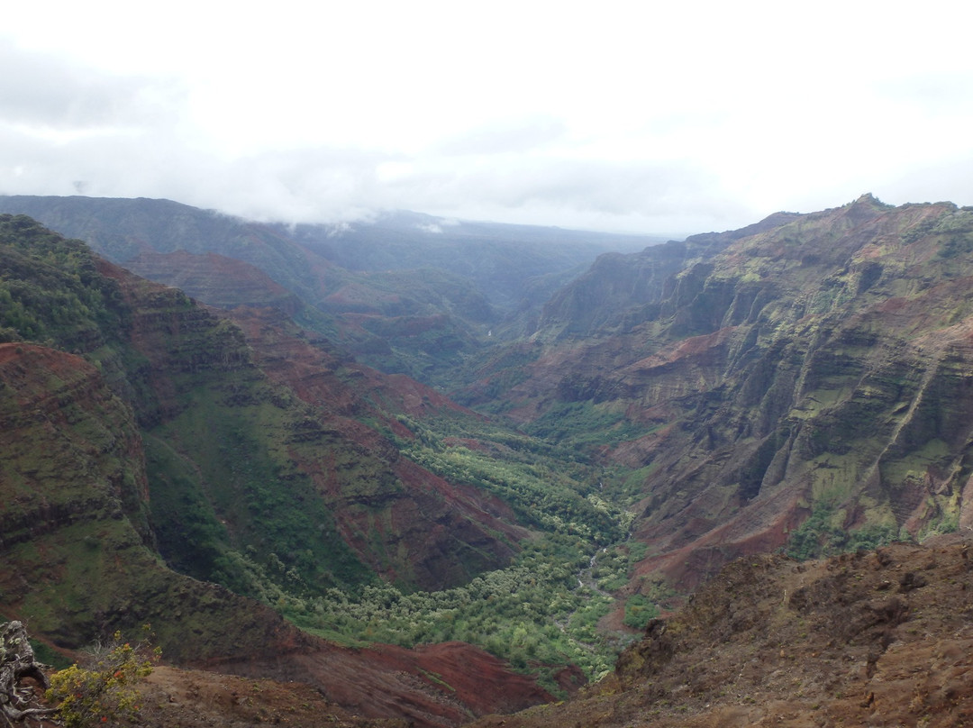 Puu Hinahina Lookout-威美亚必去景点