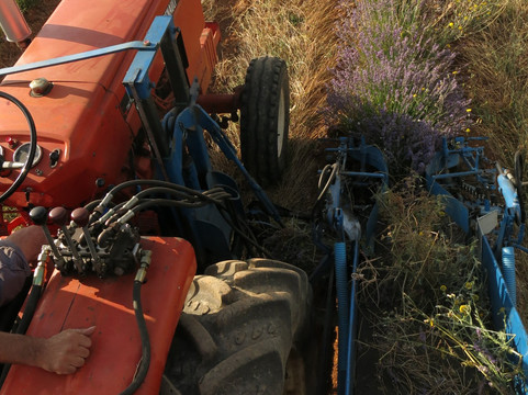 Moulin Bonaventure-瓦朗索勒必去景点