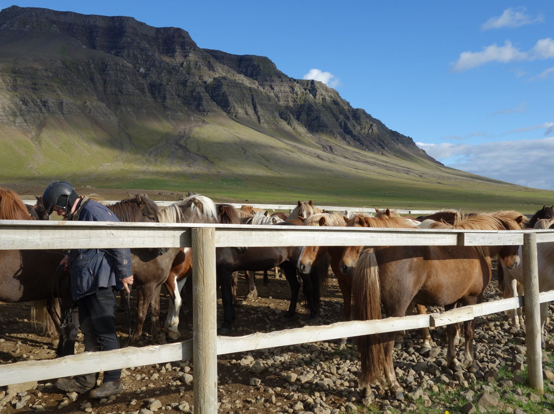 Stori Kalfalaekur-博尔加内斯必去景点