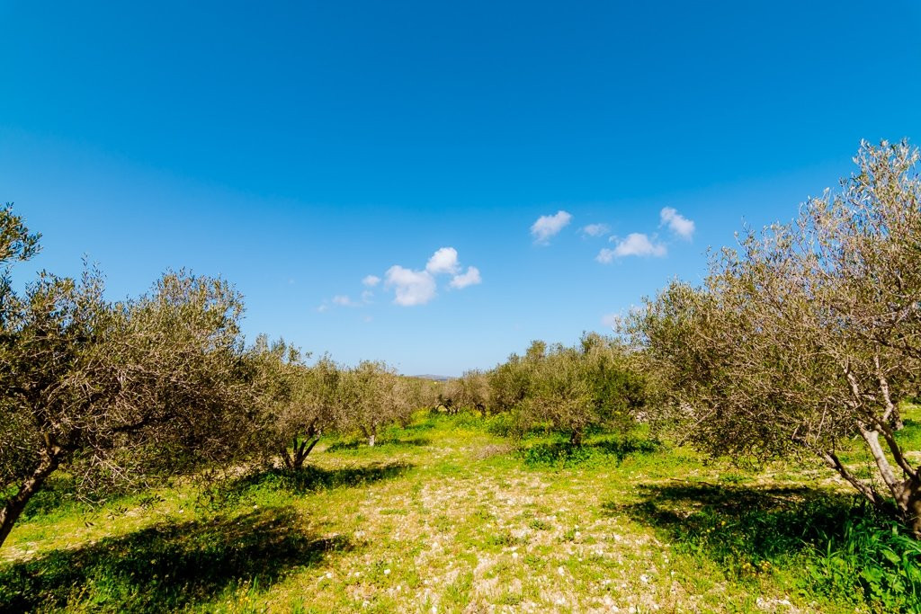 Kassaki Charcuterie-Galatas必去景点