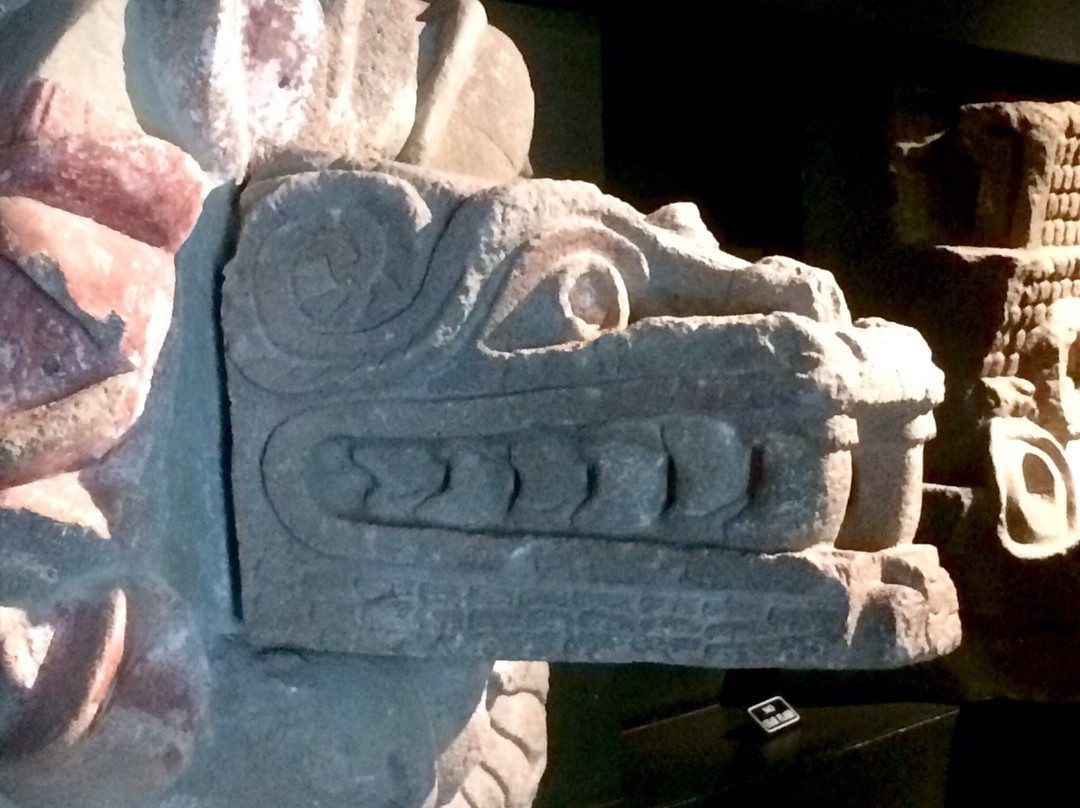 Museo Manuel Gamio Centro de Estudios Teotihuacanos景点图片