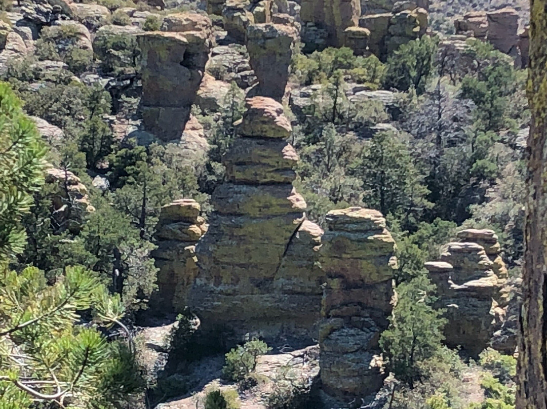 D.D. Gamble Guest Lodge and Ranch主图