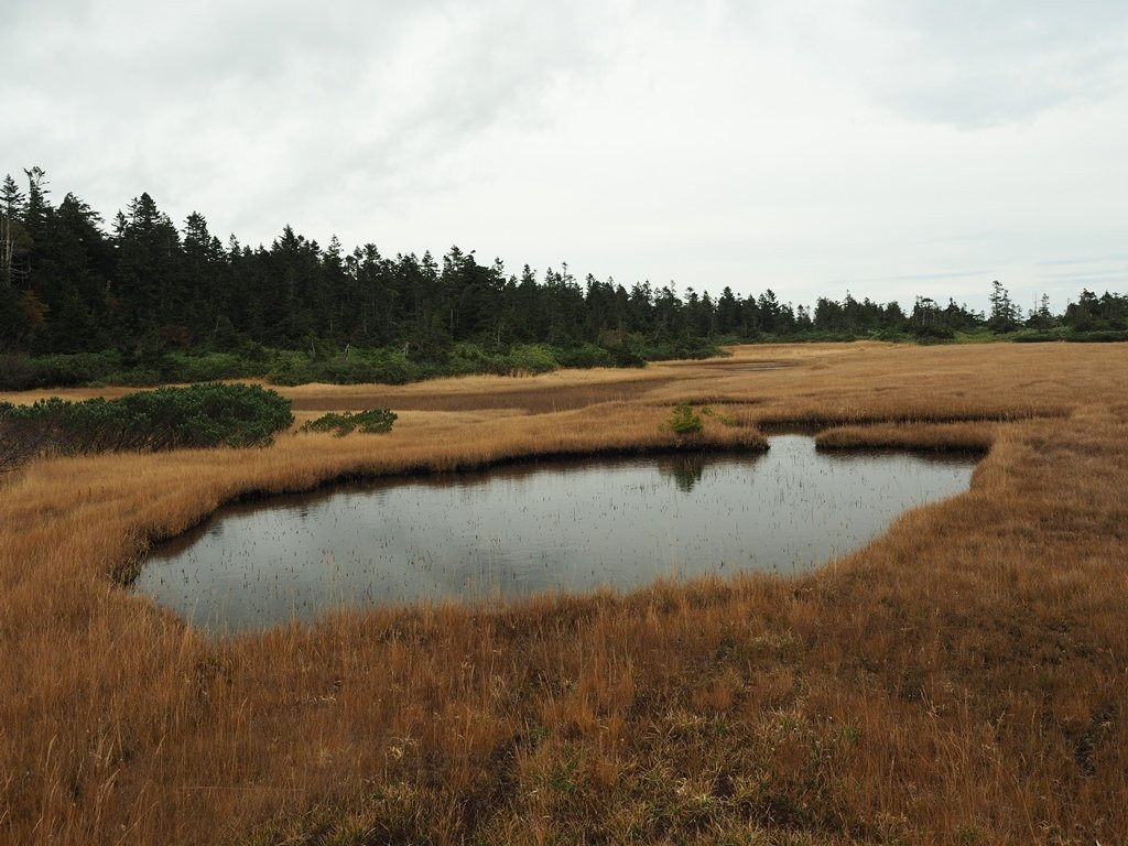 Kuroyachi Wetland景点图片