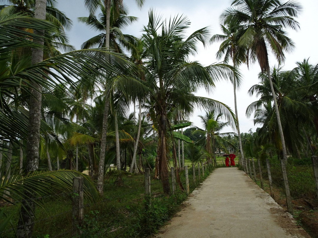 Mahamevnawa Amadahara Buddhist Monastery Pinnawala景点图片