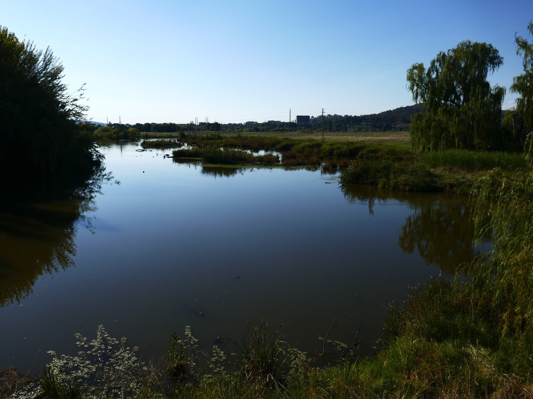 Jerrabomberra Wetland景点图片