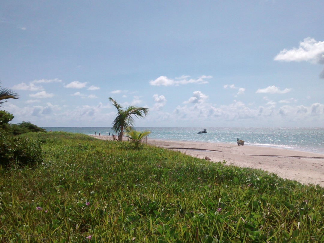 Hotel Coral Beach主图