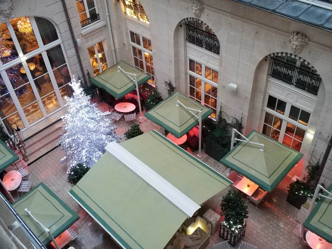 巴黎瑰丽酒店主图