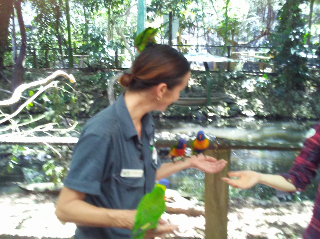 Daintree Mangroves Wildlife Sanctuary-Mossman必去景点