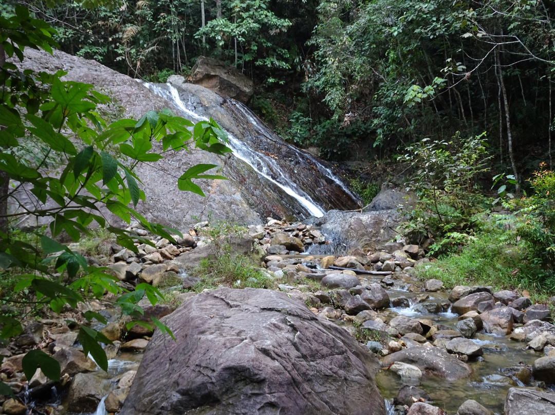 Pulai Waterfall景点图片
