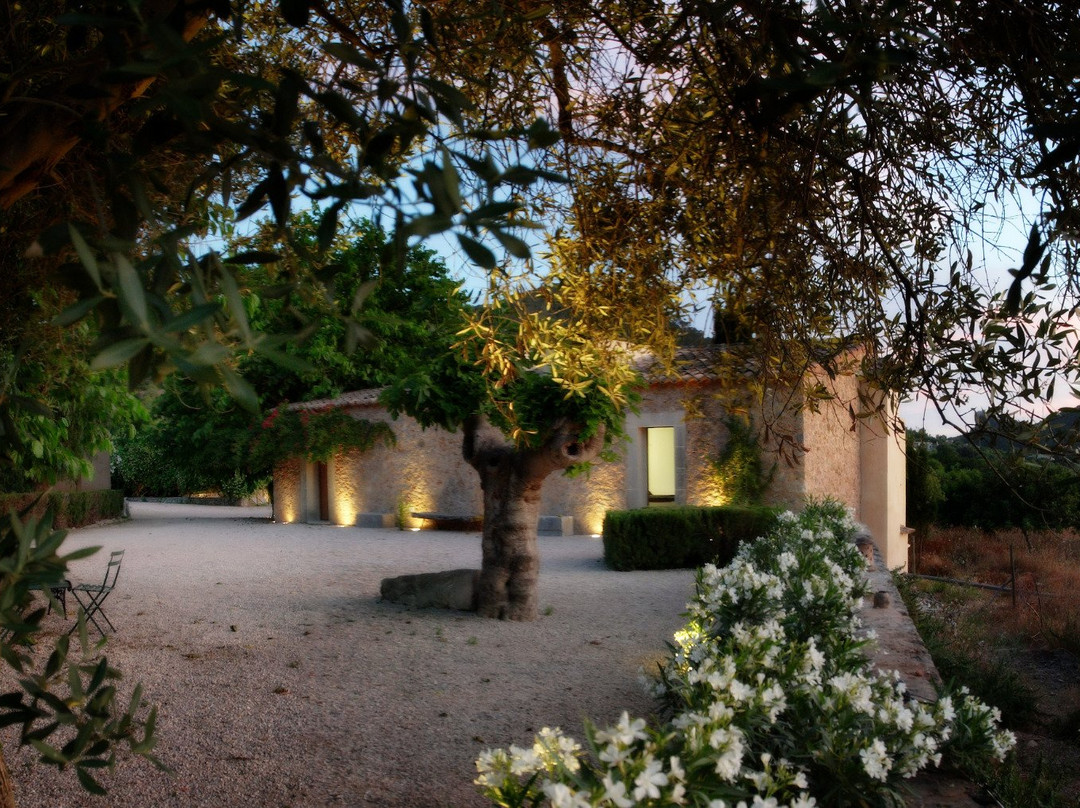 Finca Possessio Son Esteve主图