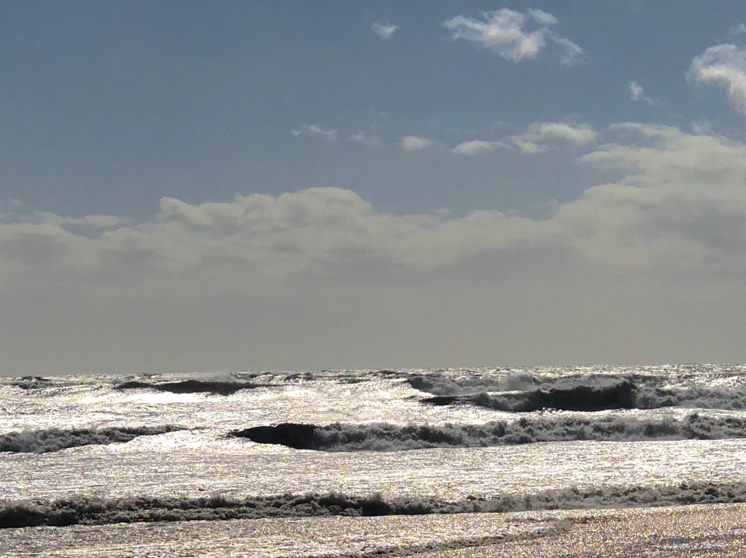 Residencial Vila Formosa主图