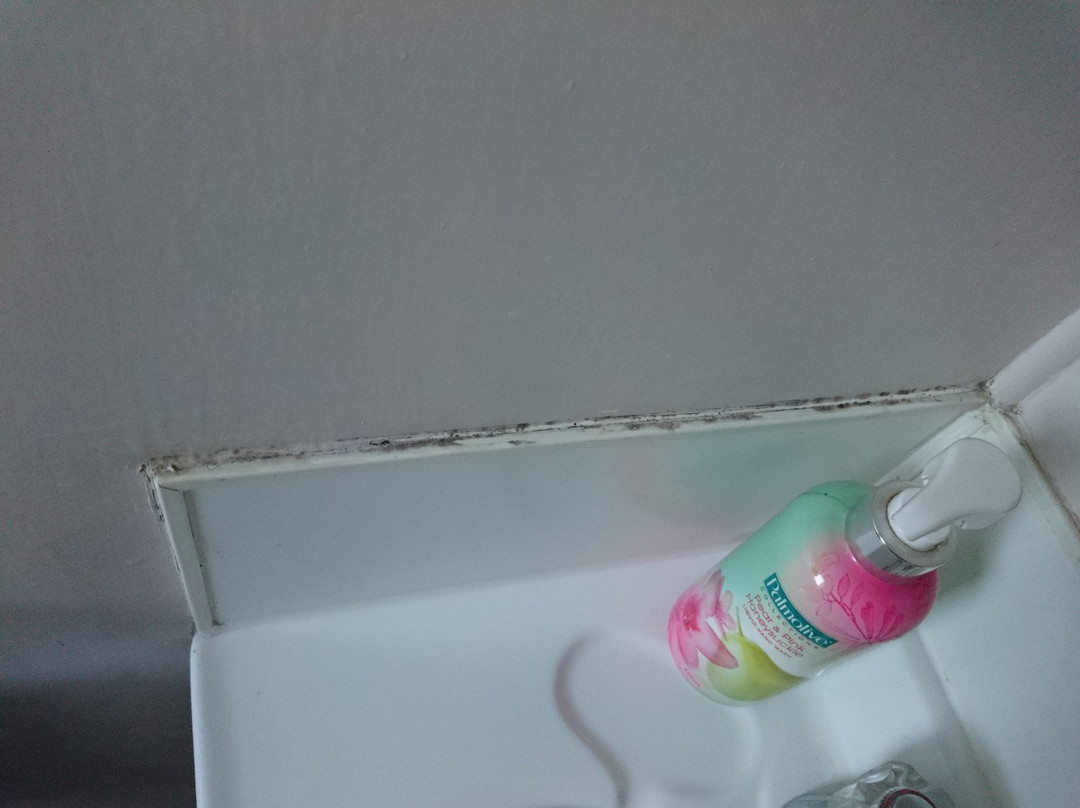 Waitomo Big Bird Bed & Breakfast主图