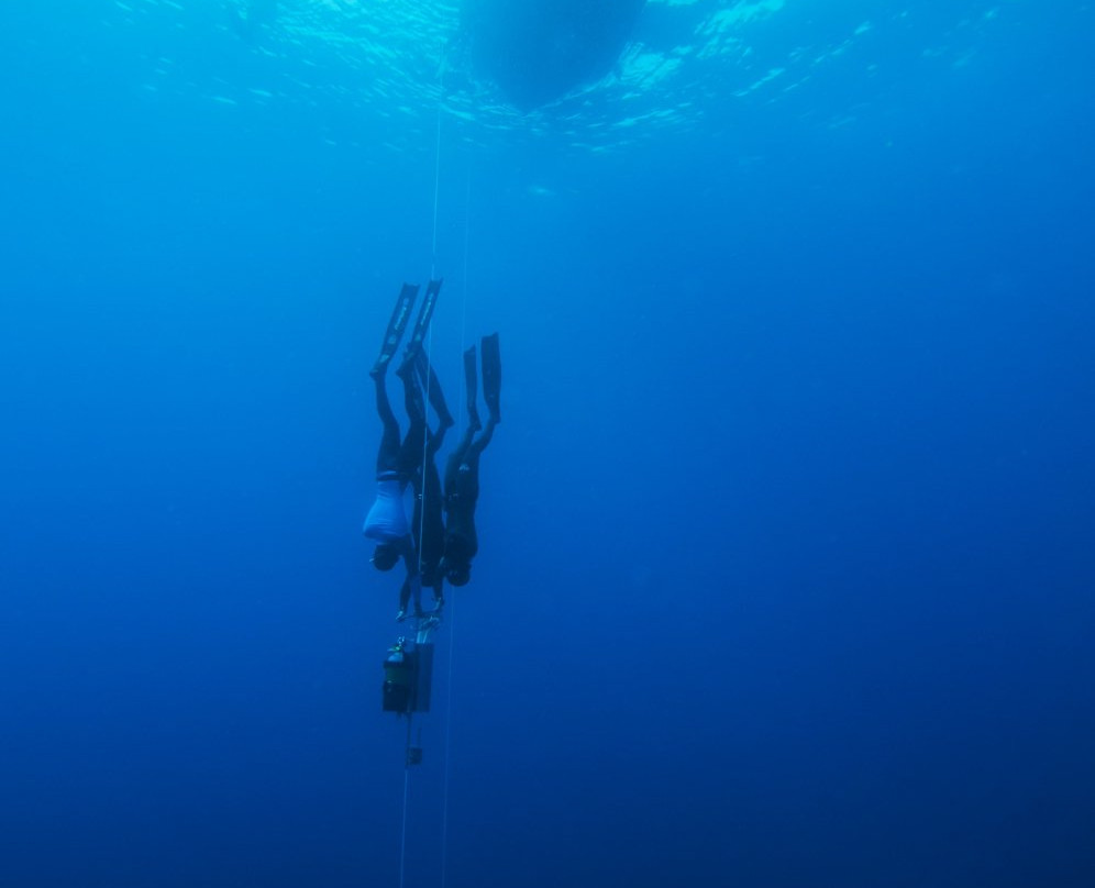 Apnea Canarias-卡门港必去景点