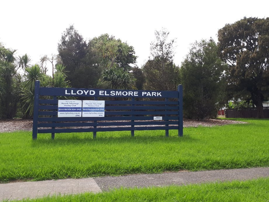 Lloyd Elsmore Park景点图片