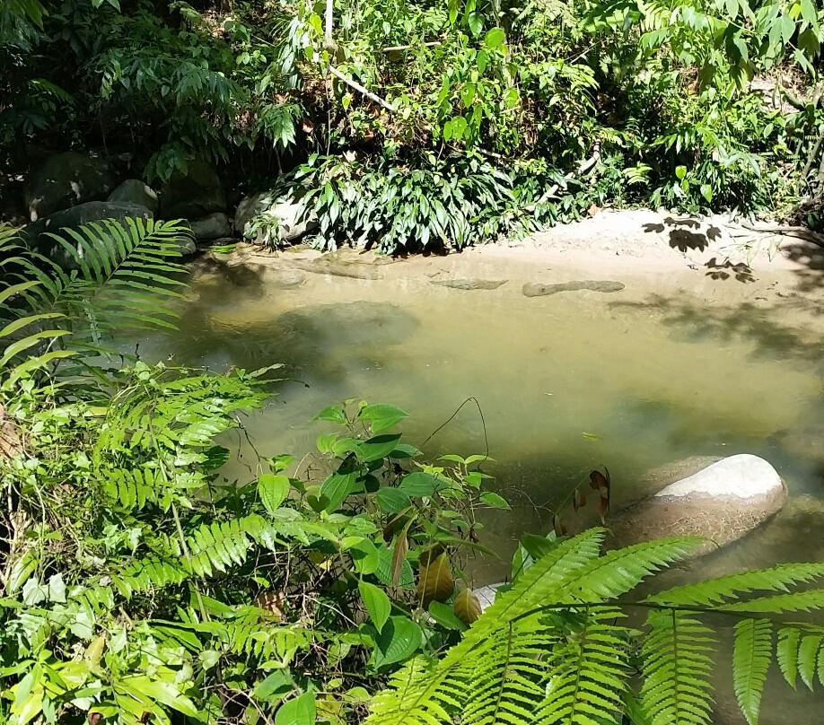 Sungai Congkak Recreational Forest景点图片