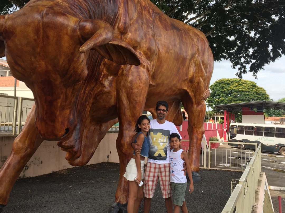 Monumento Boi Sem Coração-Ouro Fino必去景点