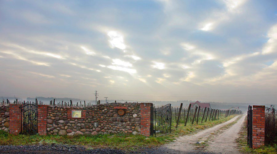 Mozow Vineyard景点图片