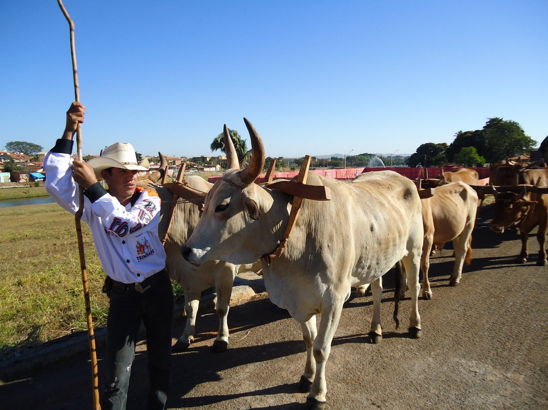 Carreirodromo de Trindade-Trindade必去景点