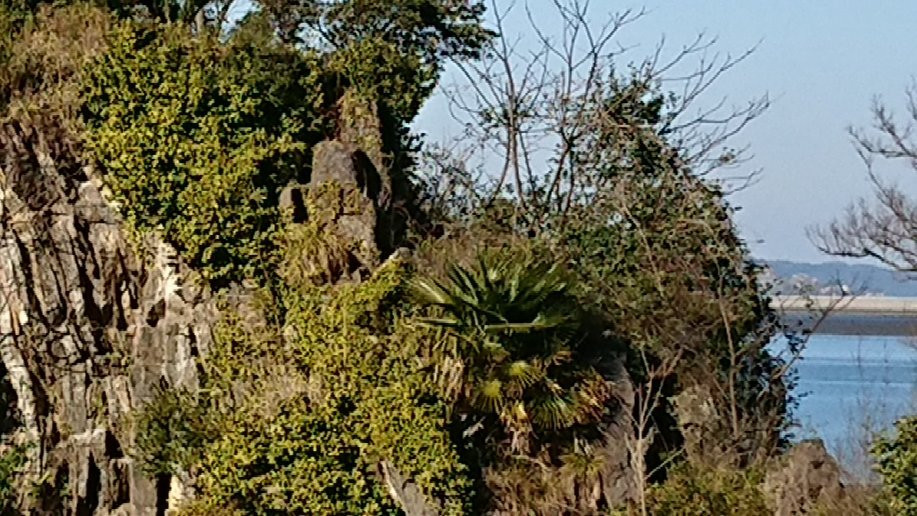 Mizushima-八代市必去景点