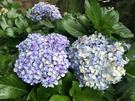 Parque do Palácio-卡内拉必去景点