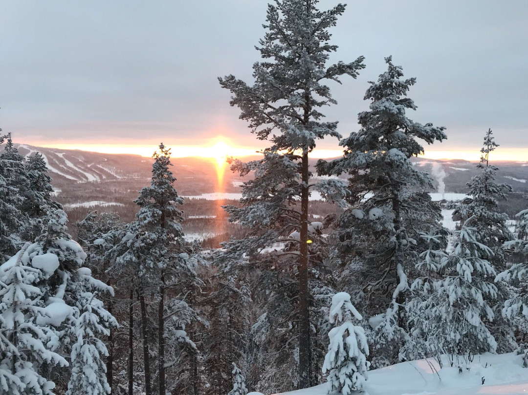 Aventyrsmastarna Bed & Breakfast