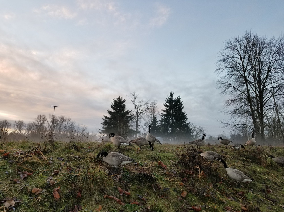 Delta Ponds City Park-尤金必去景点