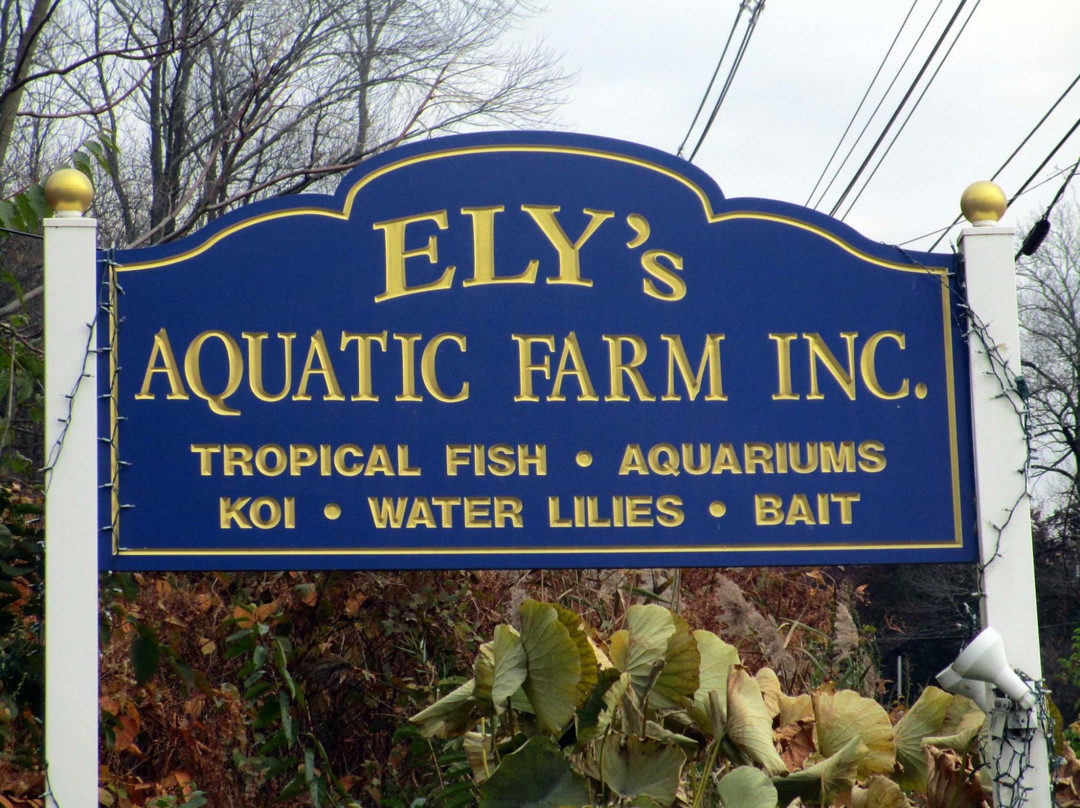 Ely's Aquatic Farm景点图片