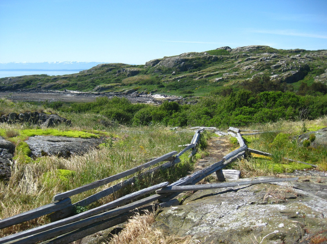 Mitlenatch Island Nature Provincial Park-Mansons Landing必去景点
