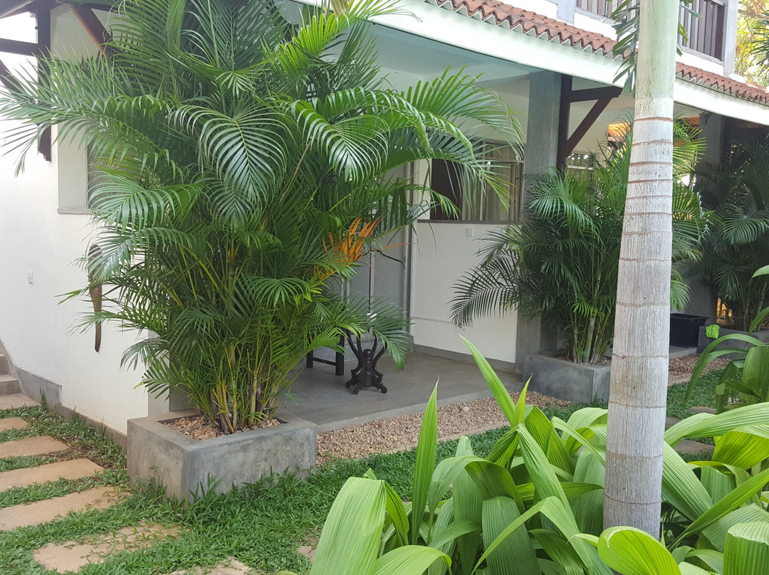 The Wild Heaven主图