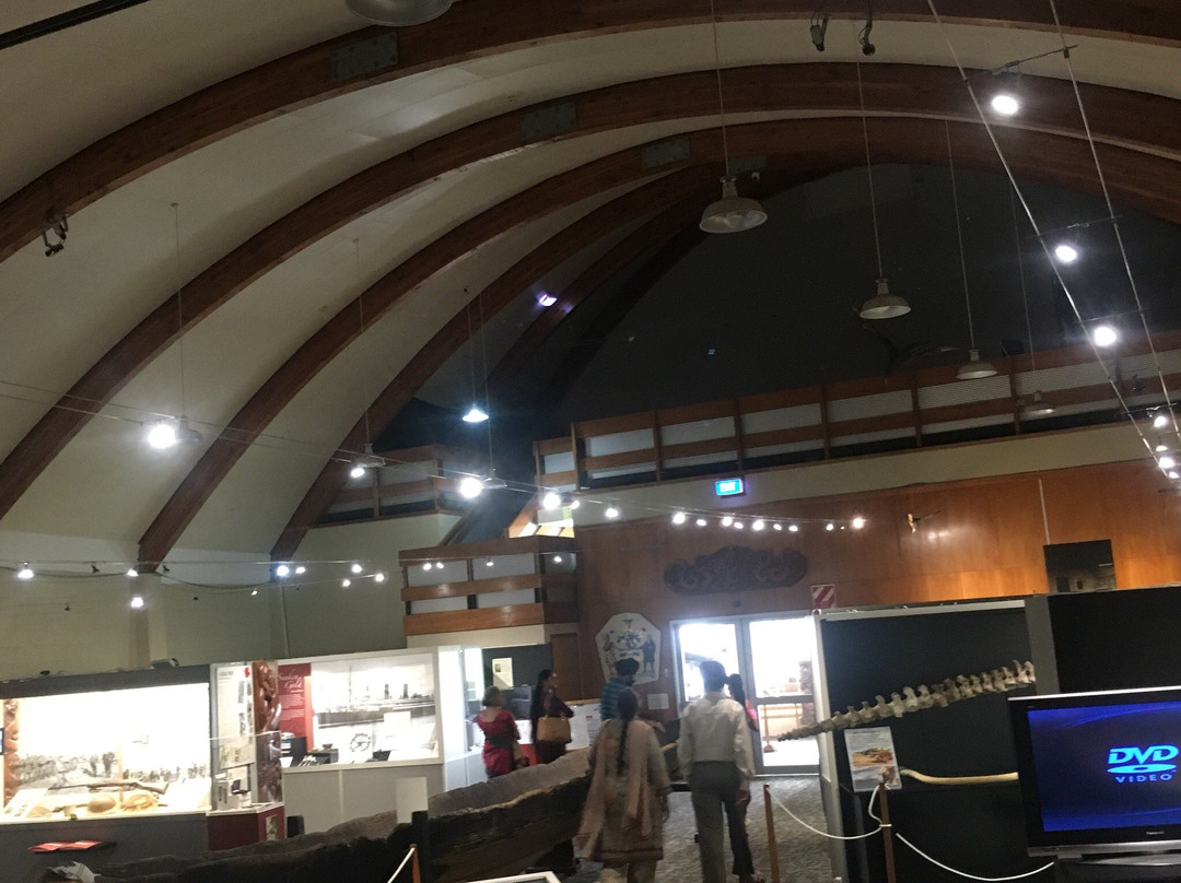 Kiwi North - Kiwi House, Museum & Heritage Park景点图片