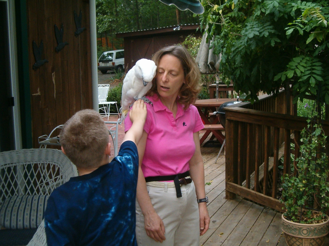 Ebenezer House B&B主图