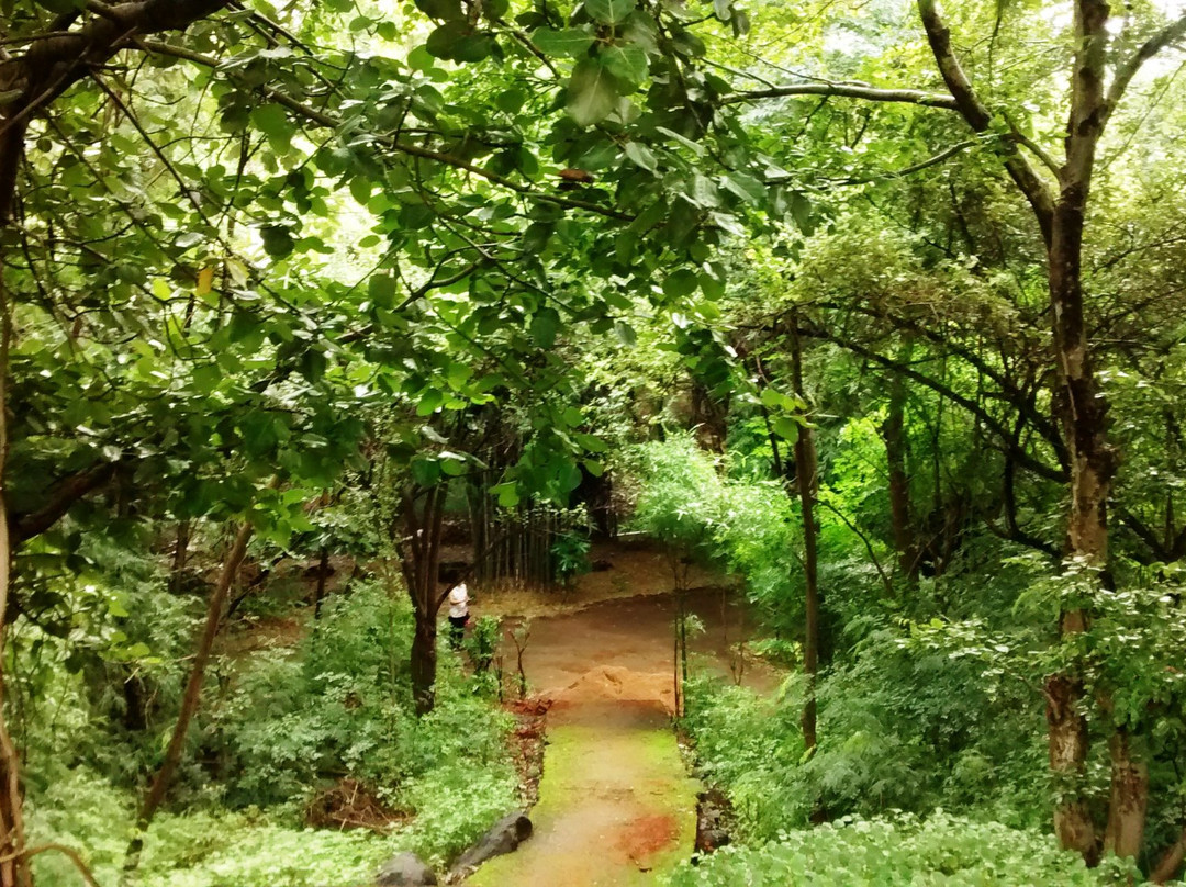 Ekant Park景点图片