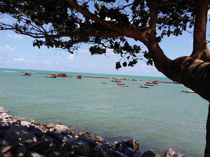 Fortim de São Francisco de Olinda-Olinda必去景点