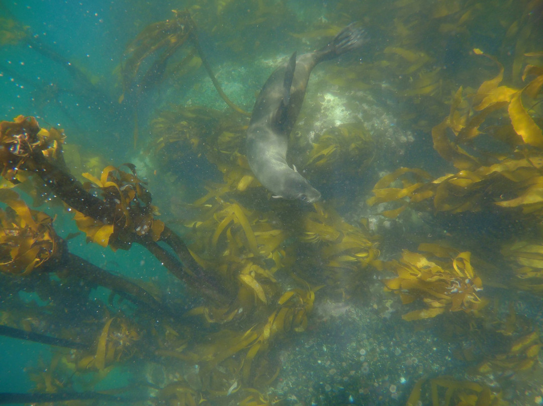 Shark Warrior Adventures-西门镇必去景点