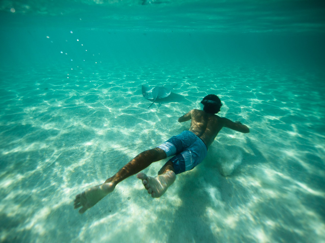 Mermaid Private Boat Tours-莫雷阿岛必去景点