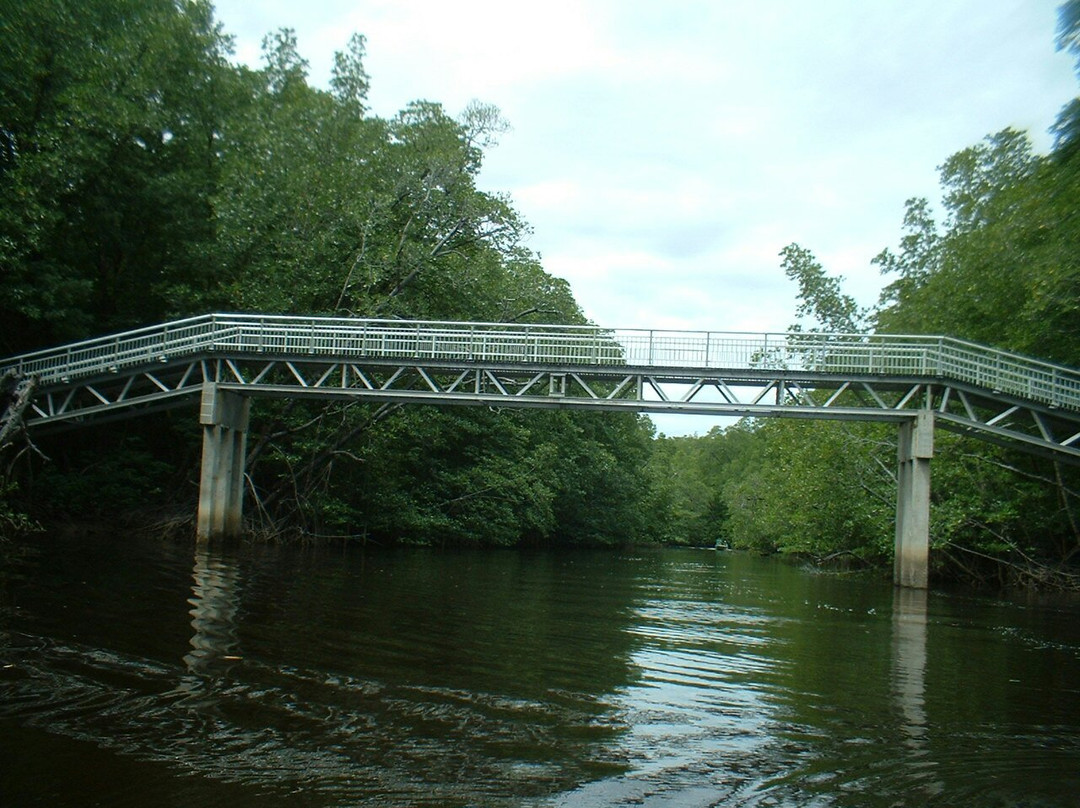 Pulau Selirong Forest Recreation Park景点图片