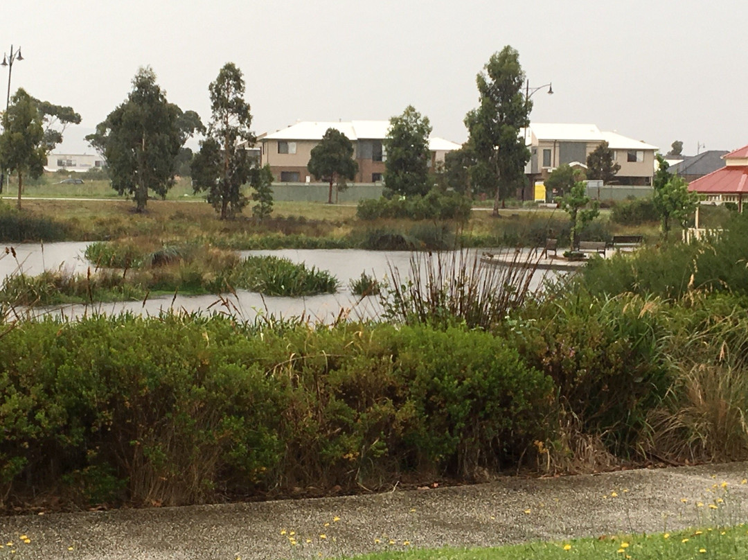 Caversham Waters Wetland景点图片