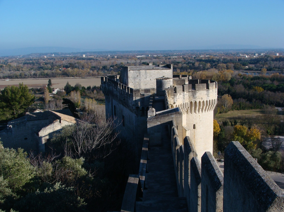 Fort Saint-Andre景点图片