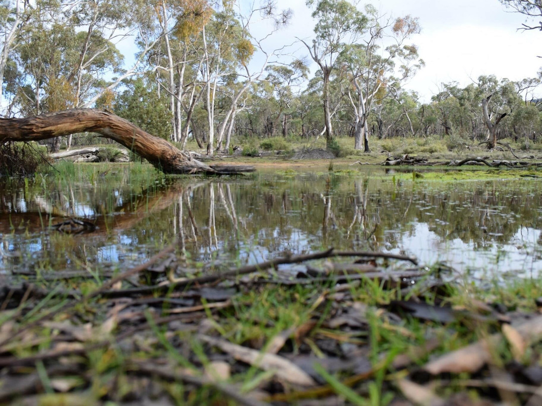 Brimpaen旅游景点-Black Range State Park