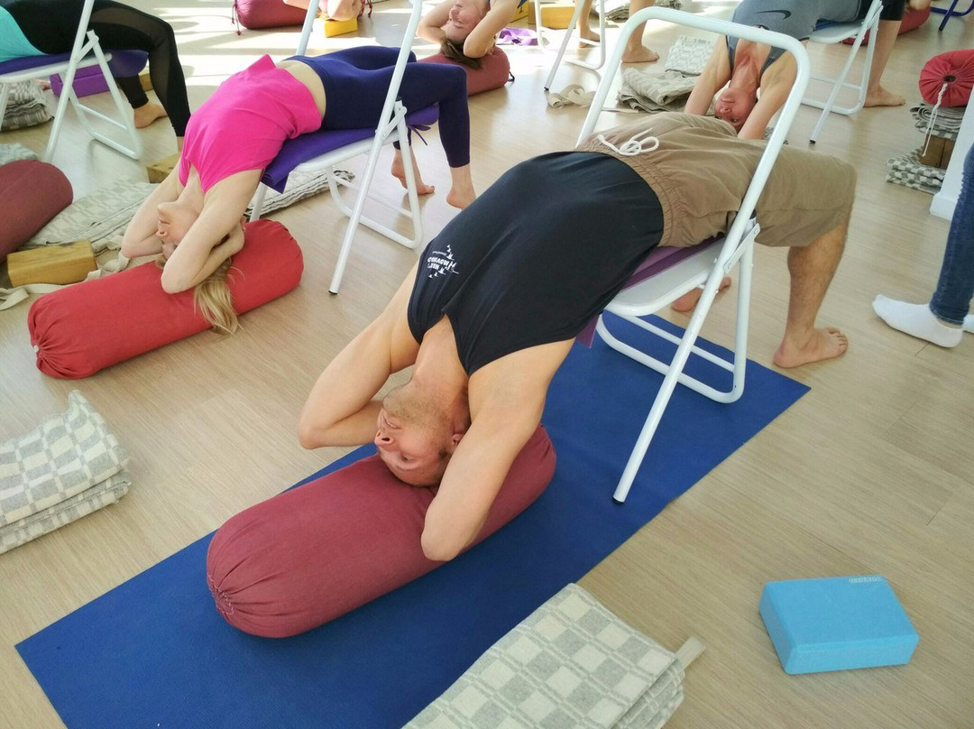 Yoga Studio Asana景点图片